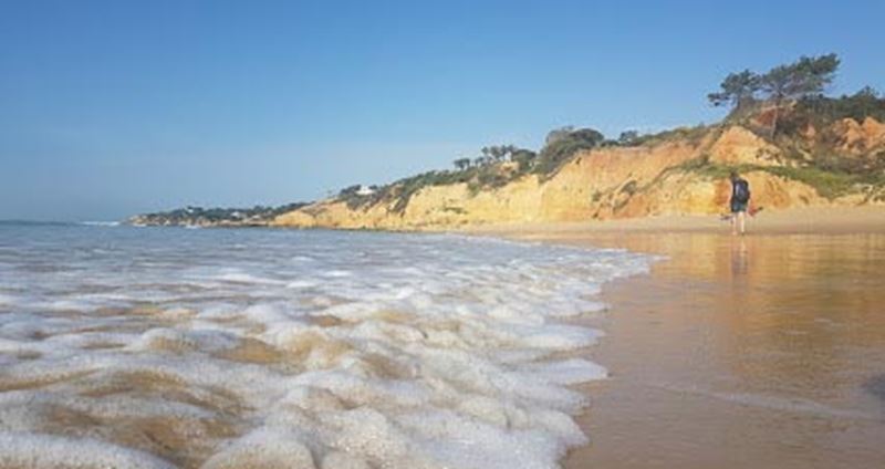 Albufeira Luxury Holiday Accommodation Near to Maria Luisa Beach by Rent a Casa Albufeira Luxury Holiday Accommodation