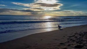 Albufeira Luxury Holiday Accommodation Near to Praia Falesia Alfamar Albufeira by Rent a Casa Albufeira Luxury Holiday Accommodation Albufeira Luxury Holiday Accommodation Near to Praia Falesia Alfamar Albufeira by Rent a Casa Albufeira Luxury Holiday Accommodation