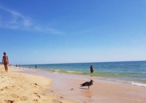 Albufeira Luxury Holiday Accommodation Near to Praia dos Salgados Albufeira by Rent a Casa Albufeira Luxury Holiday Accommodation