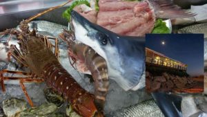 Albufeira Luxury Holiday Accommodation Near to o Galeo Albufeira by Rent a Casa Albufeira Luxury Holiday Accommodation